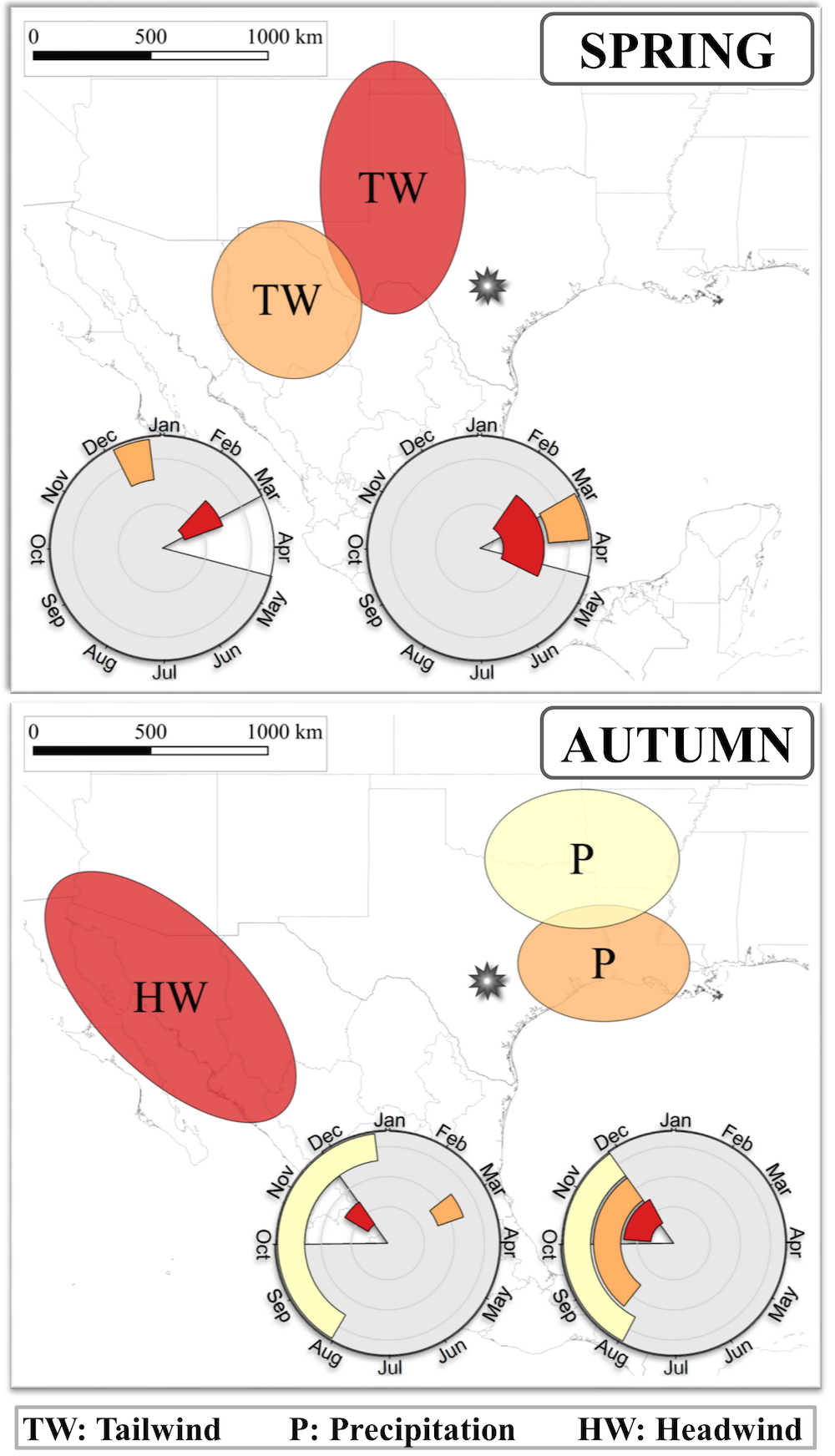 Location and timing of the identified most important weather variables that are likely to influence spring and autumn migration timing at Bracken Cave. The timelines in each plot represent the period of the single best time window (left) and of the medians for the time window opening and closing of the 95% confidence interval of all time windows (right). P: precipitation; HW: headwind; TW: tailwind. The location of Bracken Cave is marked with a star. The white background triangles in the time window subfigures represent the migration period at Bracken Cave, i.e. the period between the earliest and latest estimated average migration time at Bracken Cave over the entire study period.